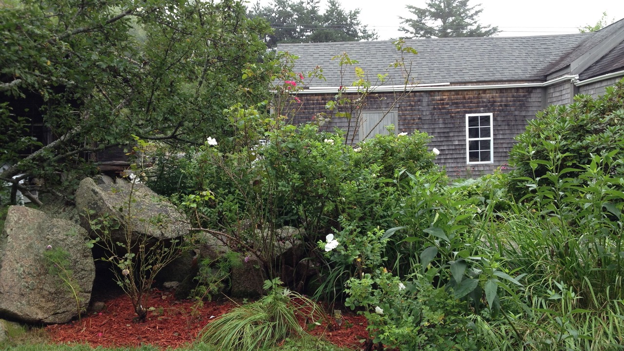 Photo of Outdoor in Sullivan