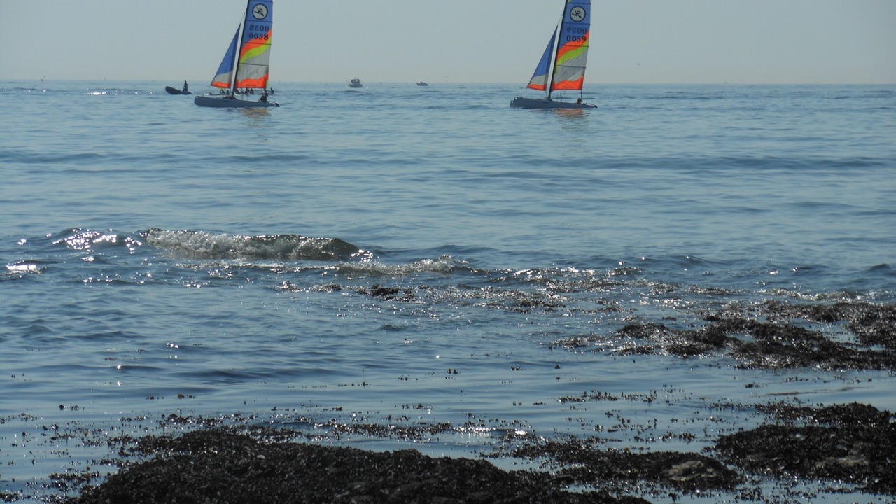 Photo of Others in Saint-Gilles-Croix-de-Vie