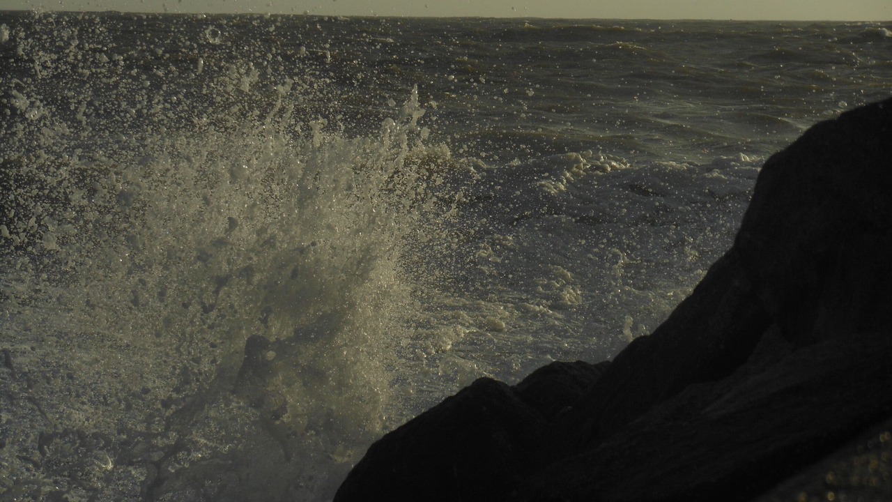 Photo of Others in Saint-Gilles-Croix-de-Vie