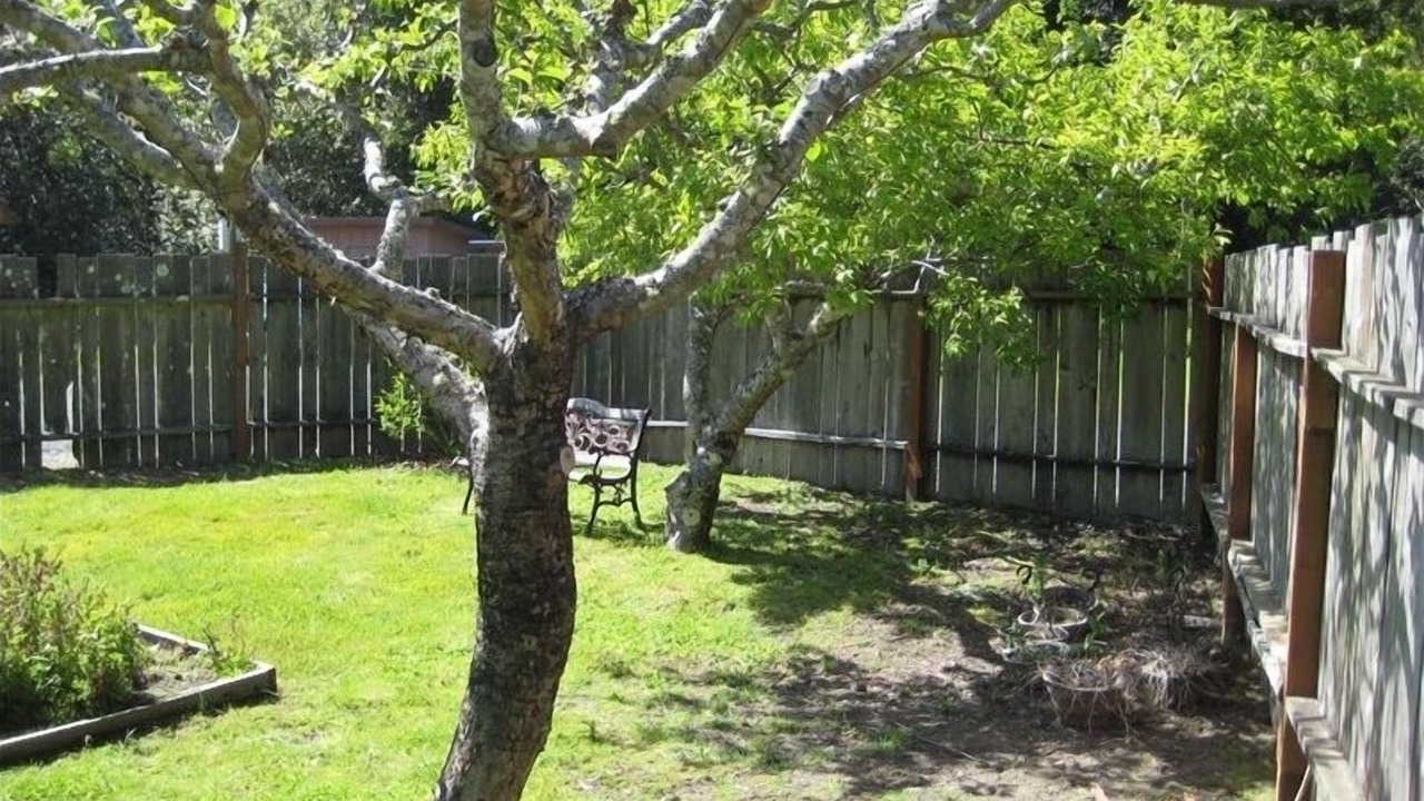 Photo of Outdoor in Gold Beach