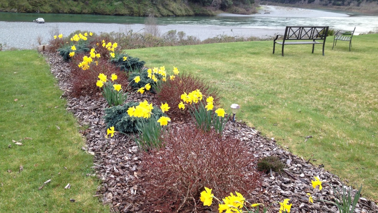 Photo of Others in Gold Beach