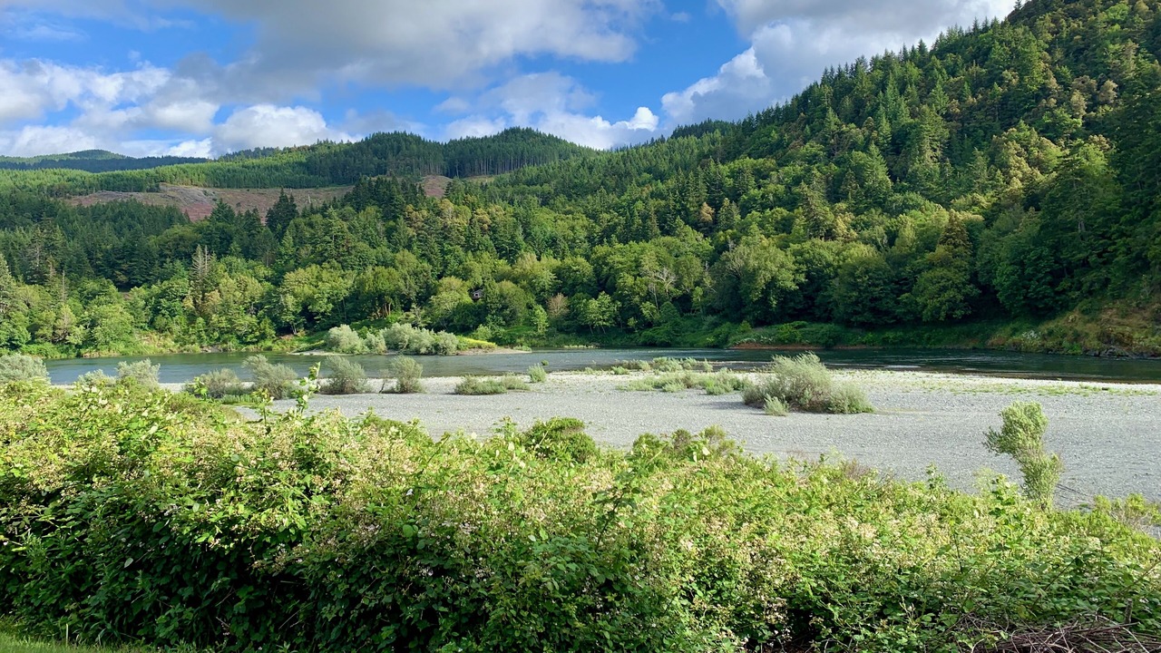 Photo of Others in Gold Beach