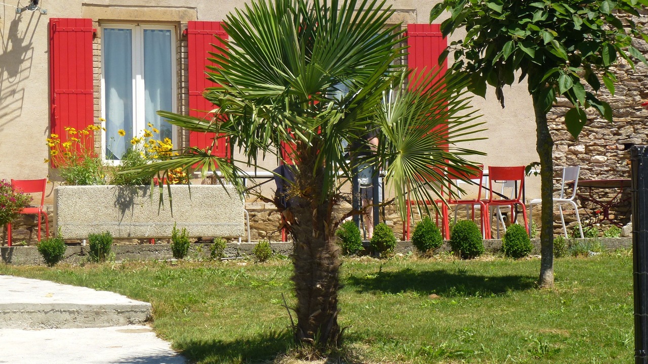 Photo of Patio Balcony in Serenac