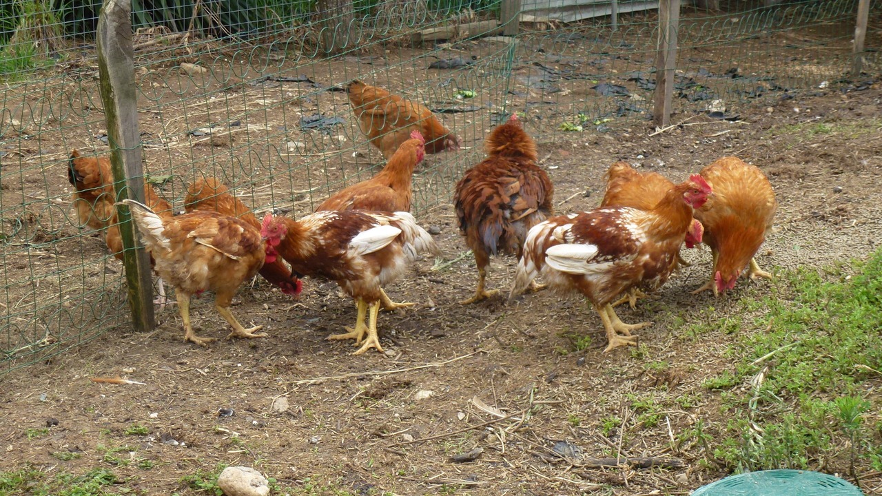 Photo of Outdoor in Serenac