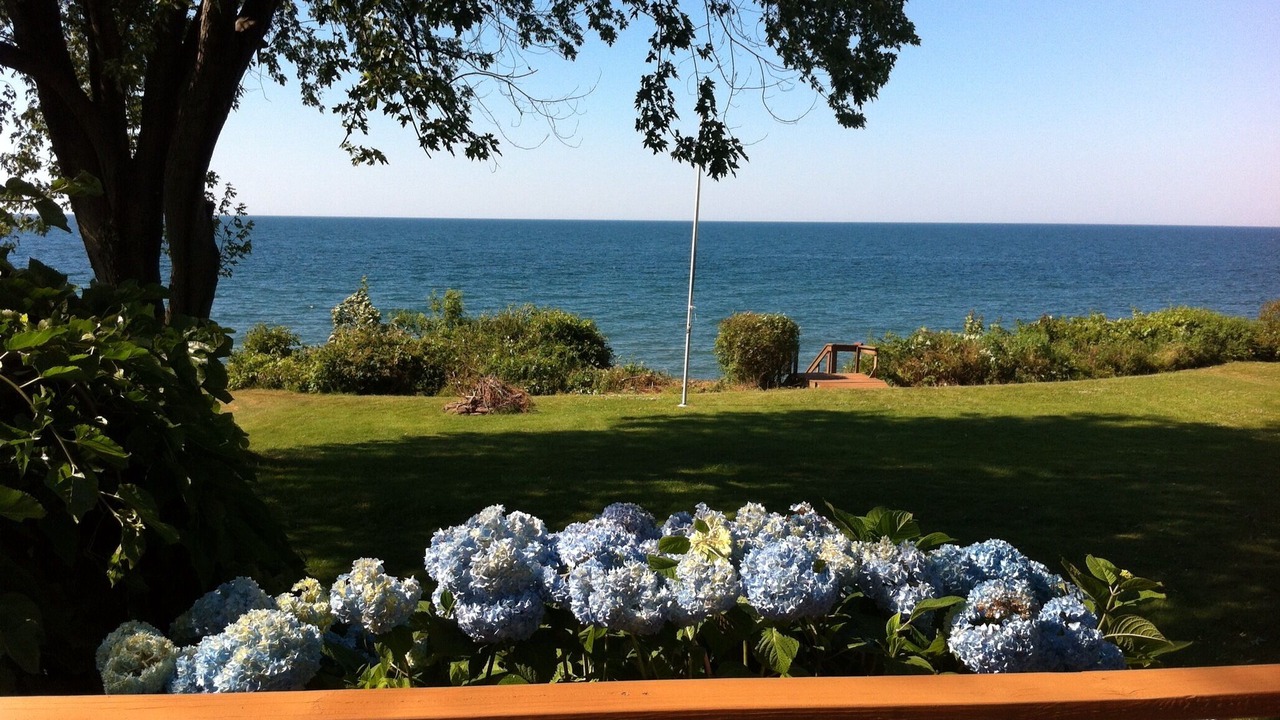 Photo of Others in Sodus