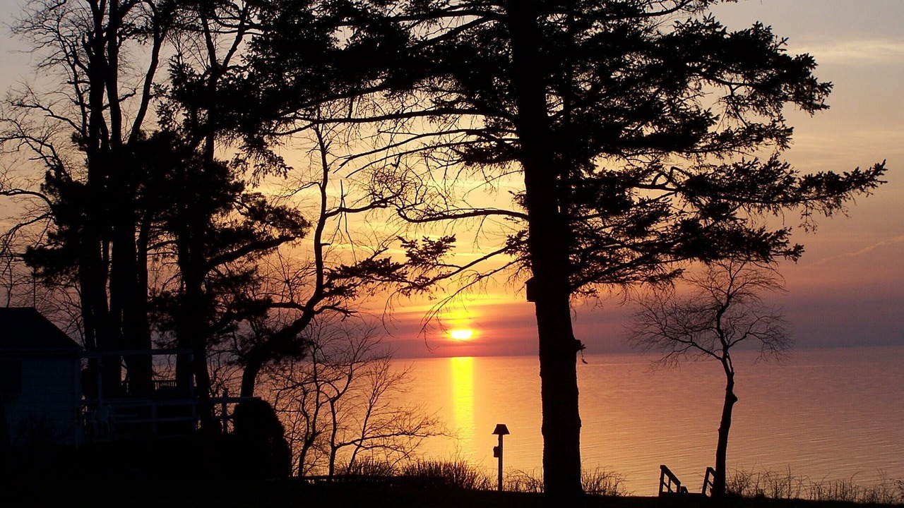 Photo of Others in Sodus