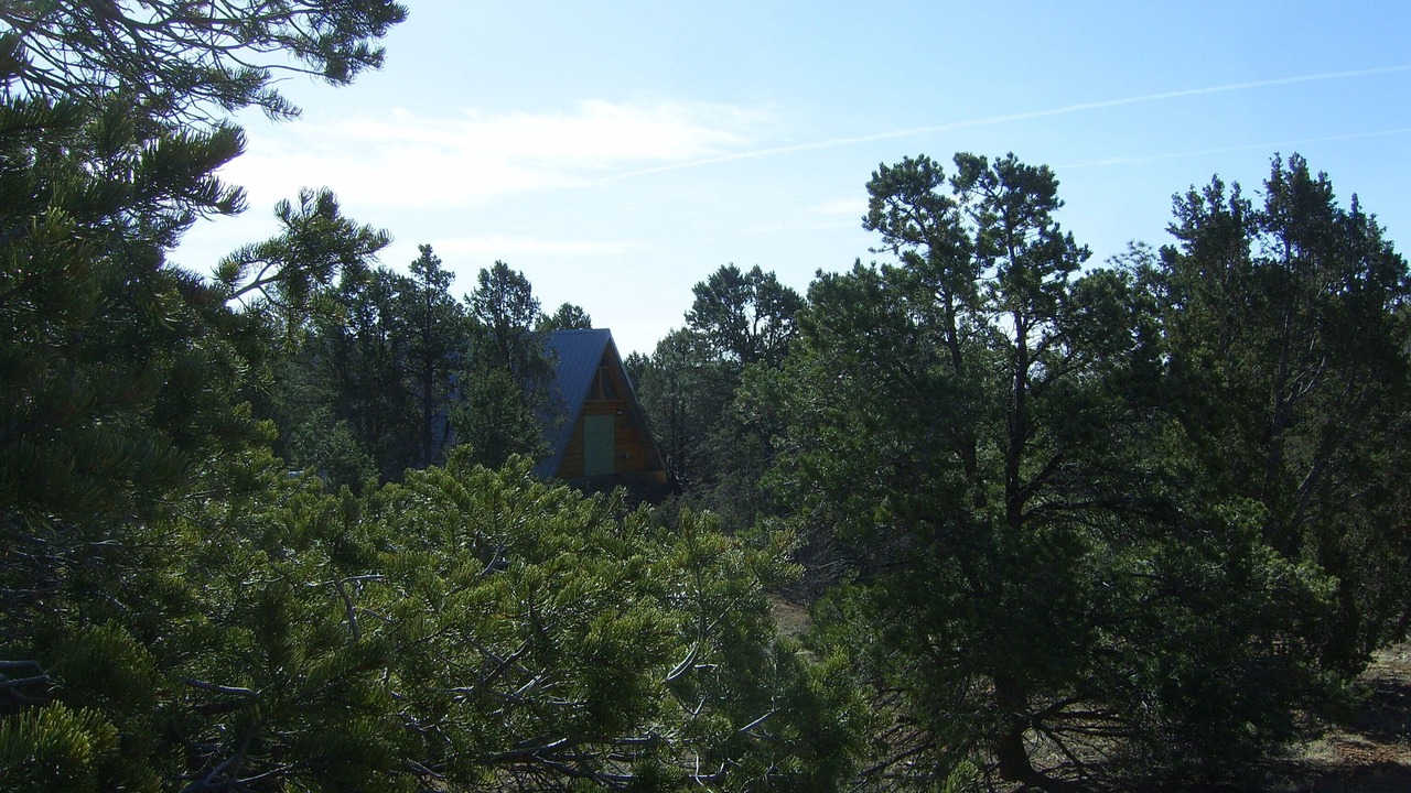 Photo of Outdoor in Canada de los Alamos