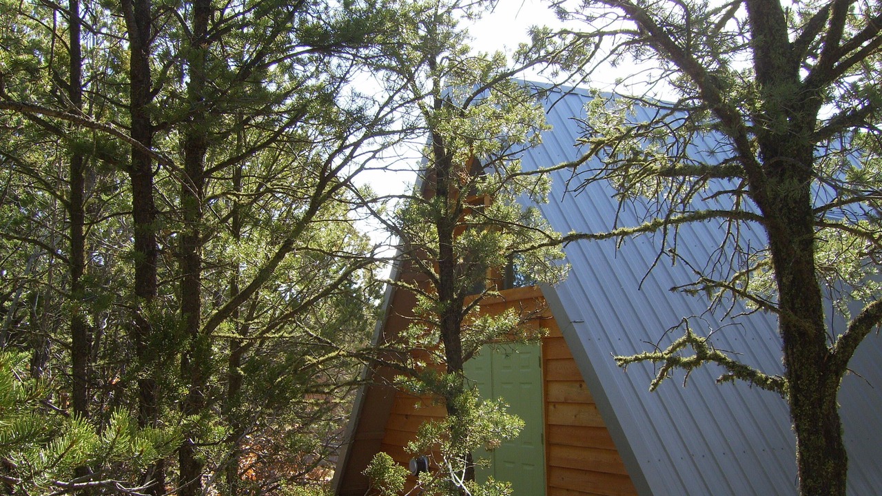 Photo of Outdoor in Canada de los Alamos