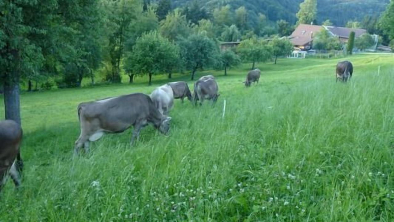 Photo of Others in Luetisburg