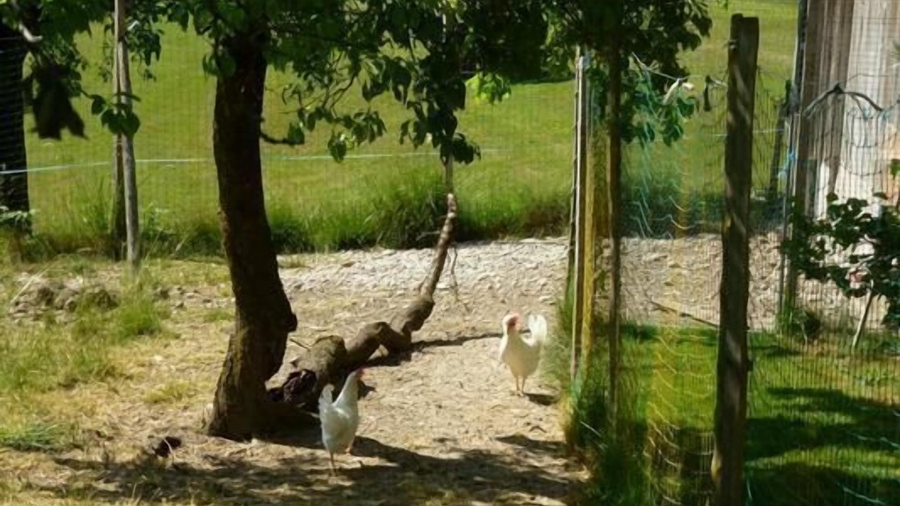 Photo of Others in Luetisburg
