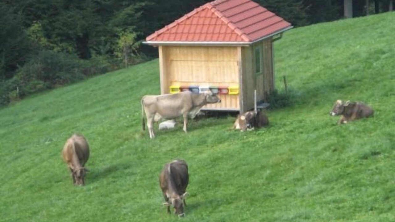 Photo of Others in Luetisburg