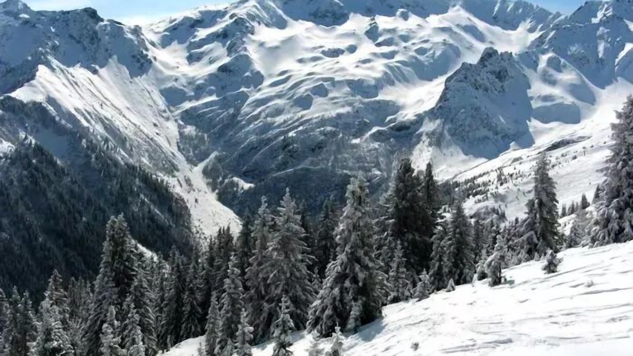 Photo of Others in La Ferriere