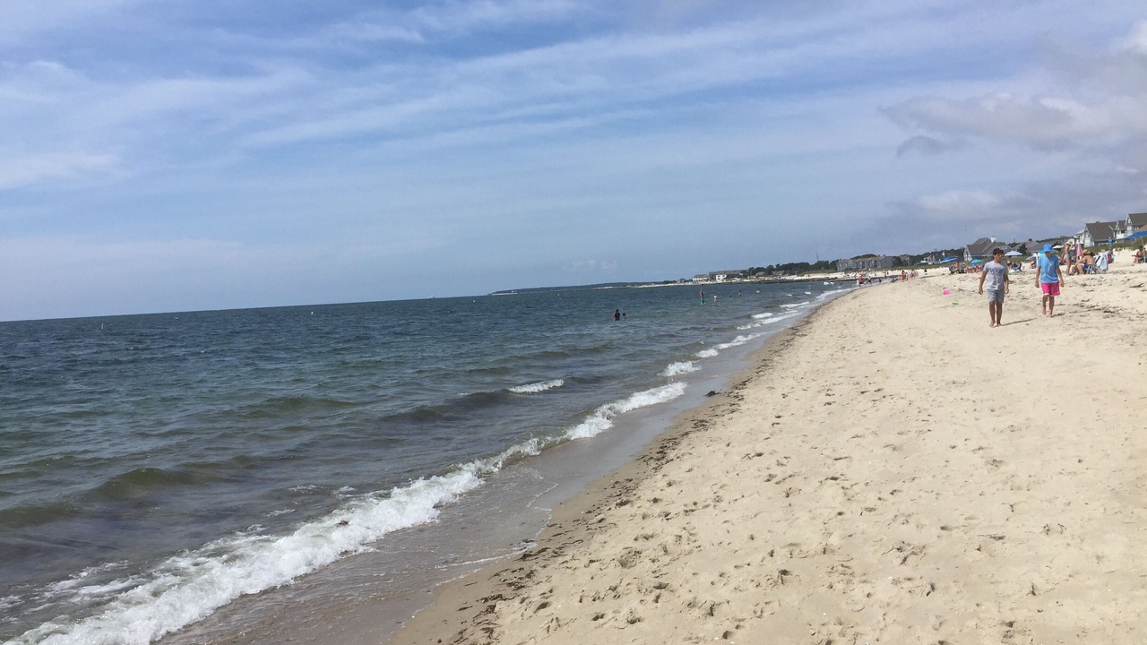 Photo of Others in Bass River