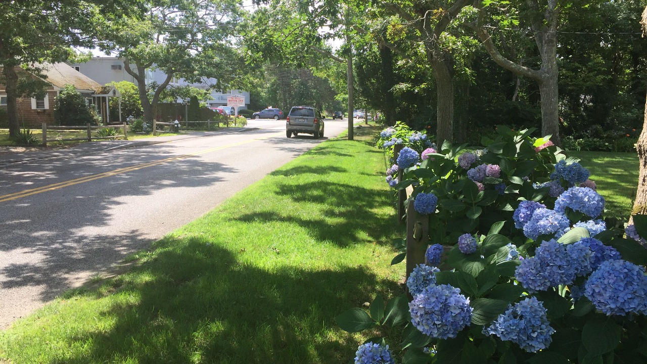 Photo of Others in Bass River