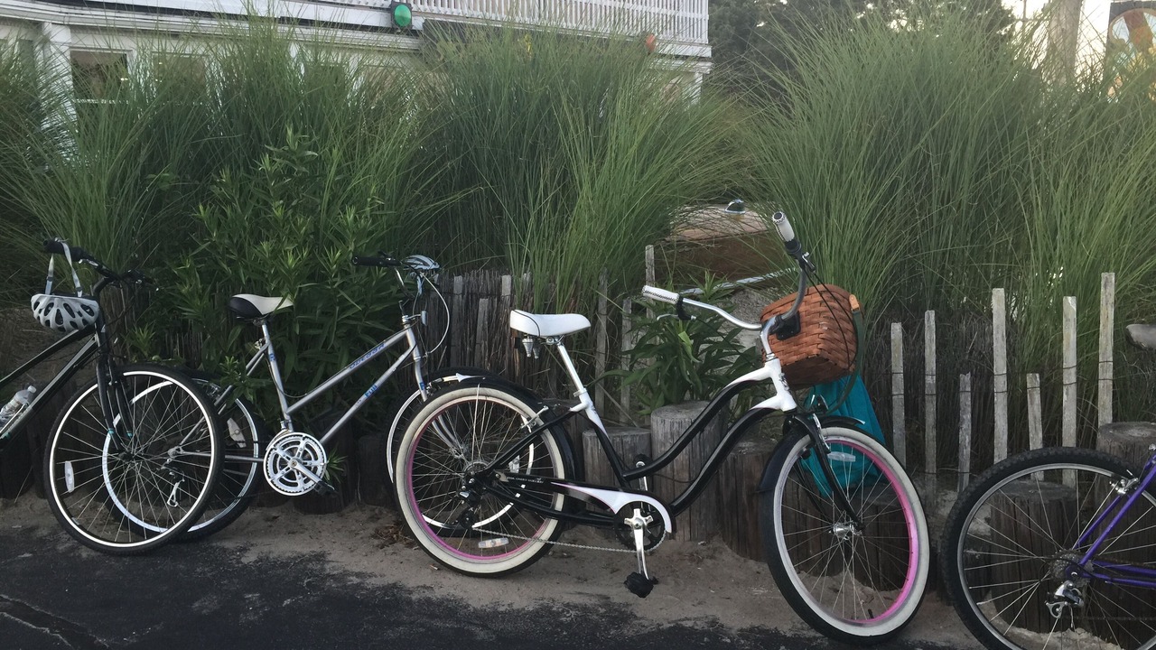 Photo of Others in Bass River