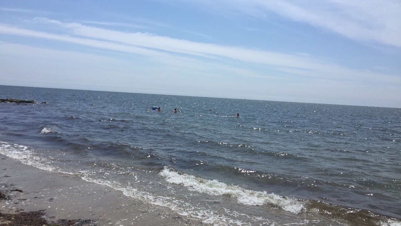 Photo of Others in Bass River