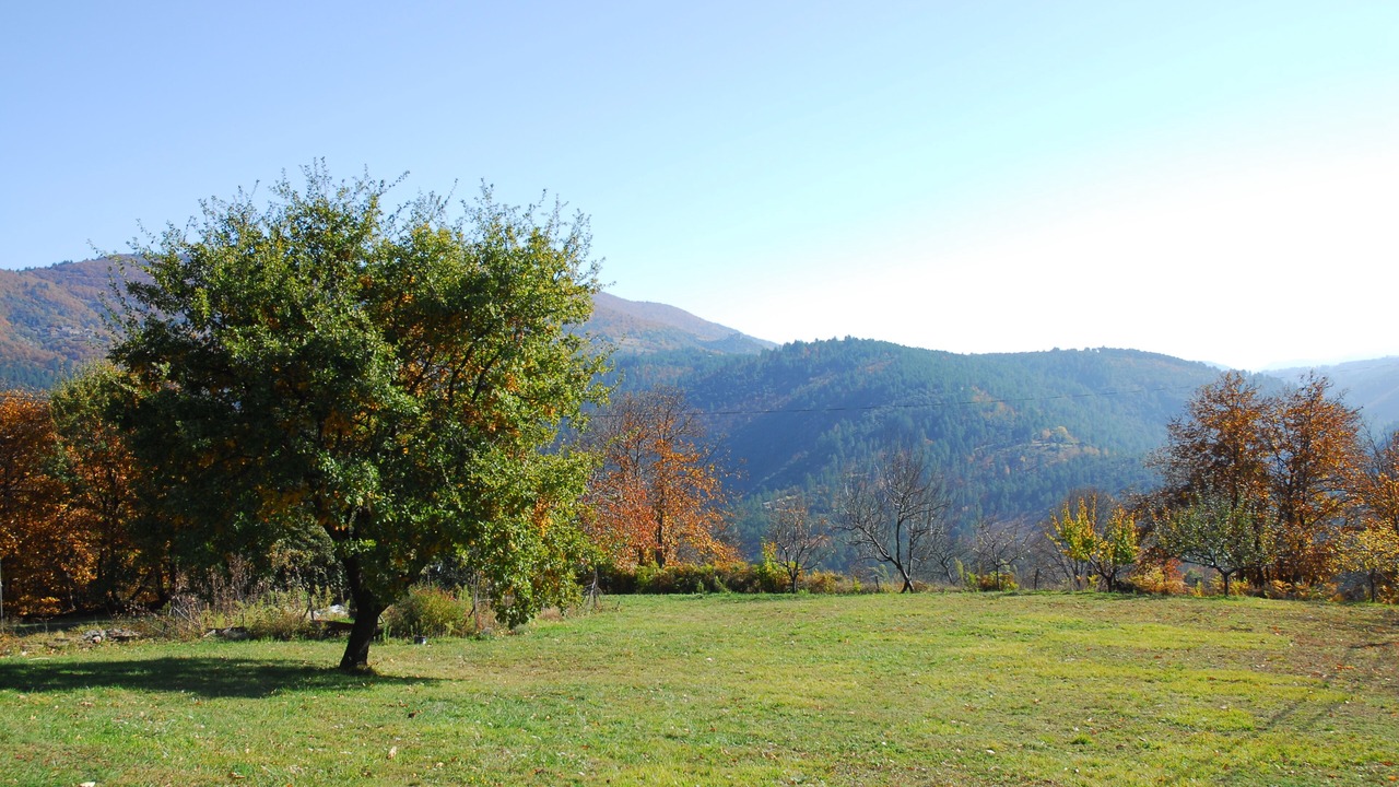 Photo of Outdoor in Charnavas