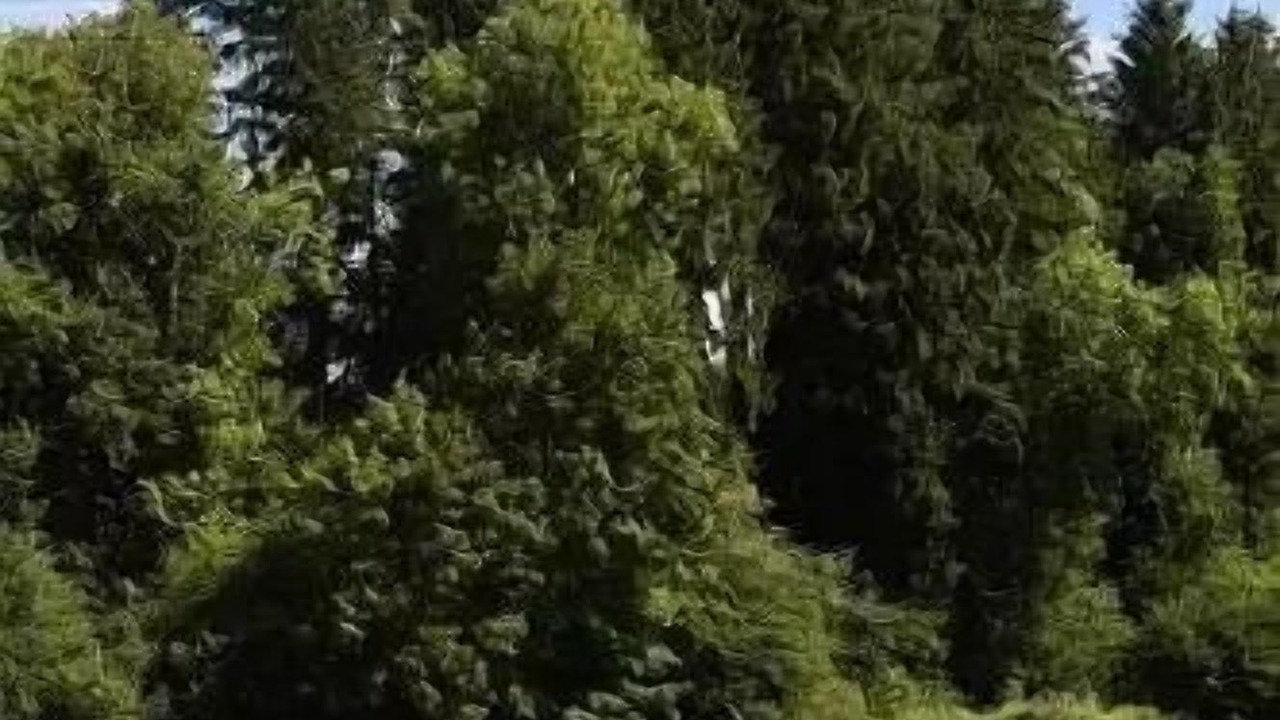 Photo of Others in Pont-de-Poitte