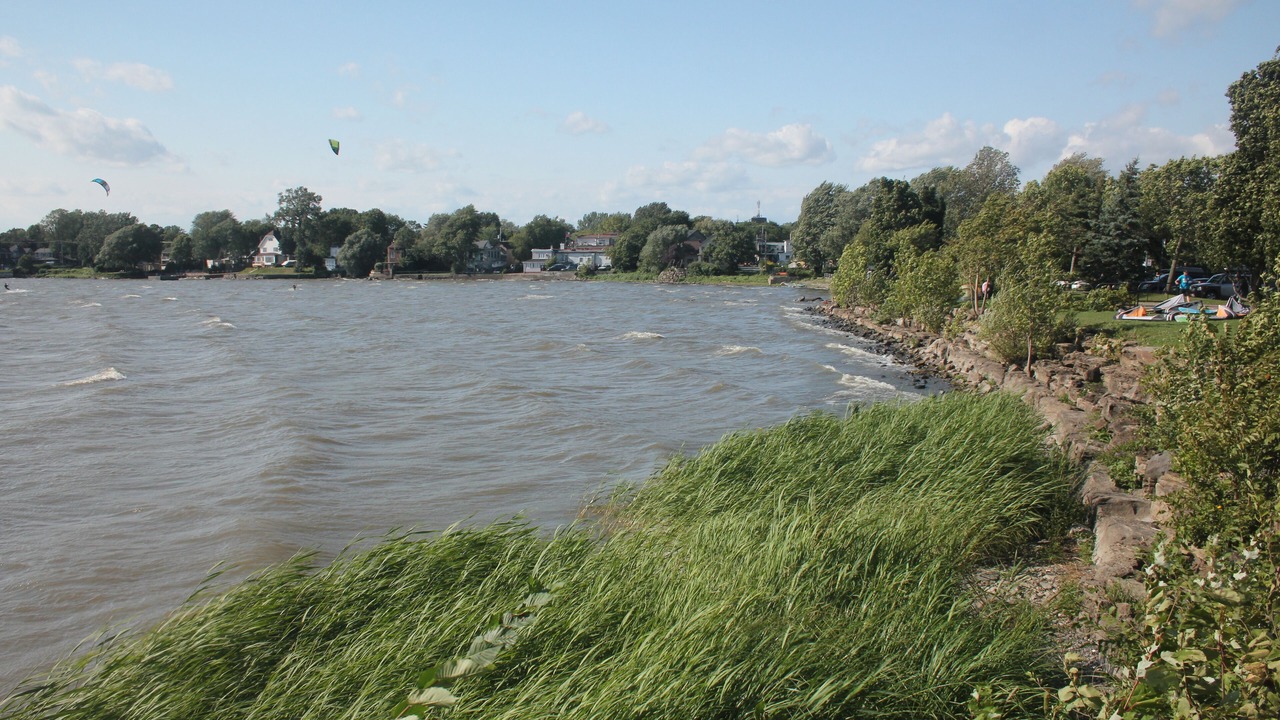 Photo of Others in Pointe Claire