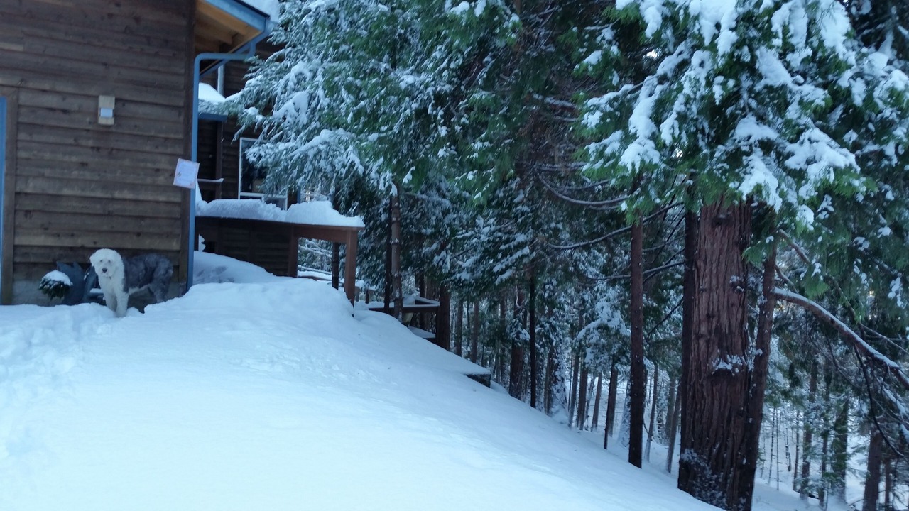 Photo of Outdoor in Medford