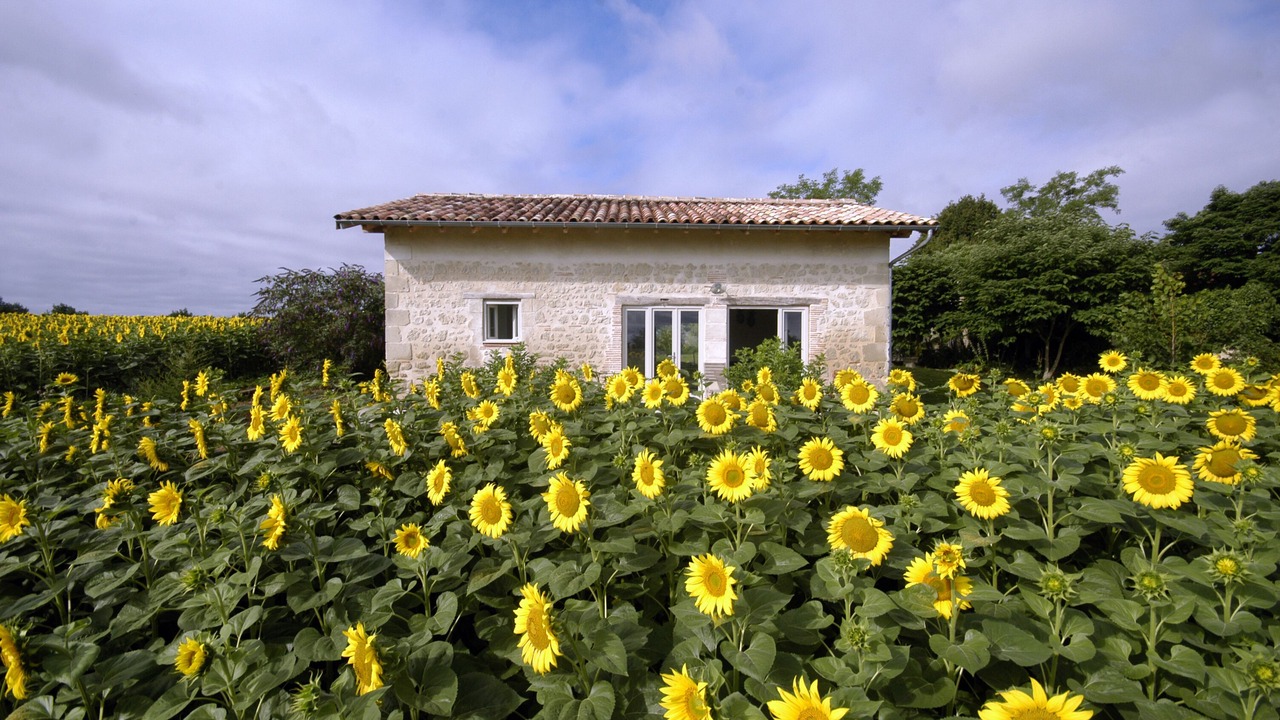 Photo of Outdoor in Birac-sur-Trec