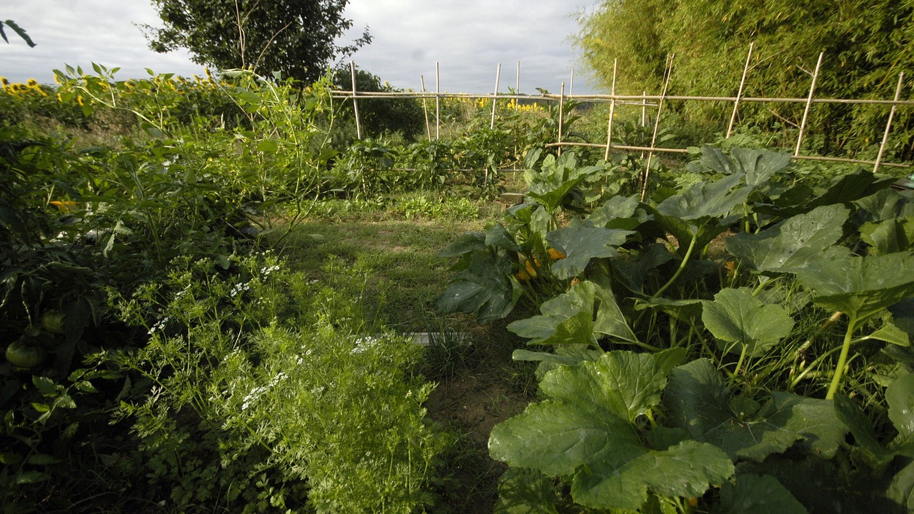 Photo of Outdoor in Birac-sur-Trec