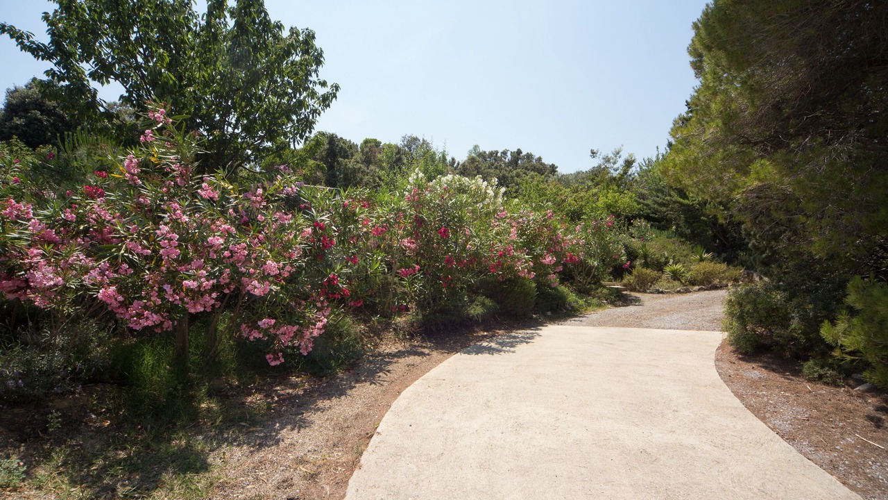 Photo of Outdoor in Prades-sur-Vernazobre