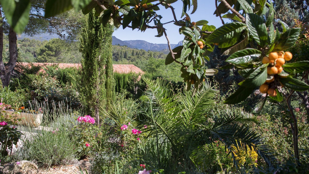 Photo of Outdoor in Prades-sur-Vernazobre