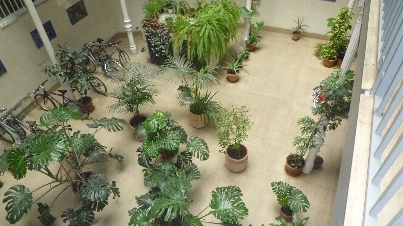 Photo of Outdoor in Embajadores