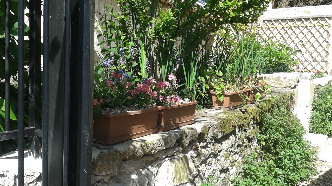 Photo of Outdoor in Maire