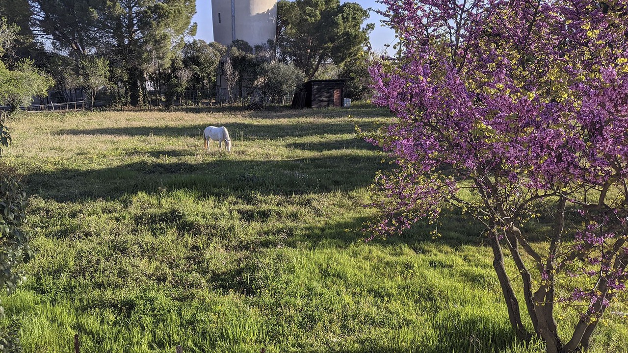 Photo of Outdoor in Vendargues