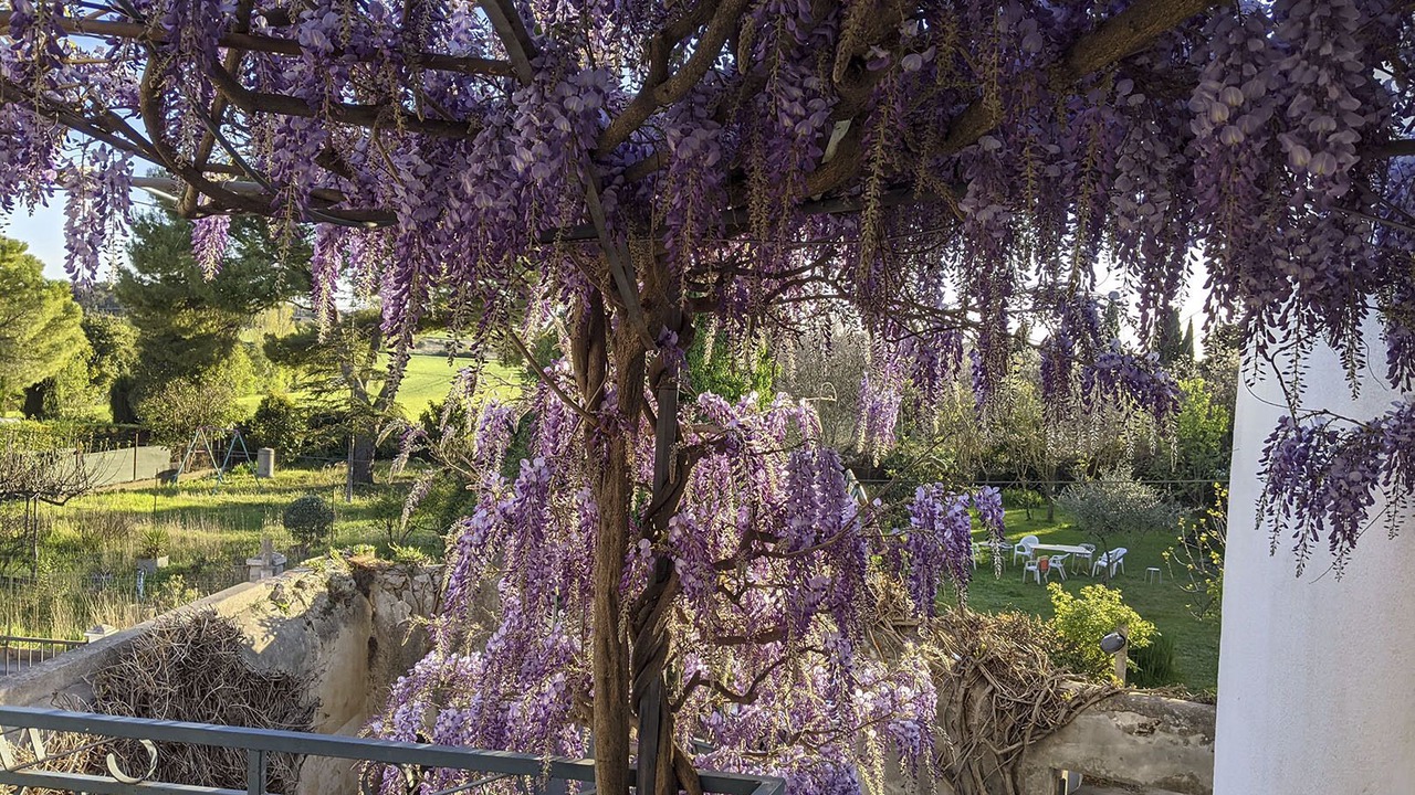 Photo of Outdoor in Vendargues