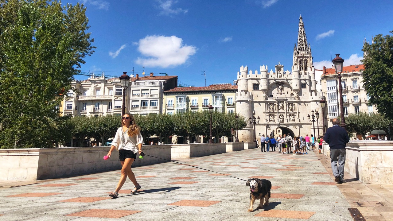Photo of Others in Burgos