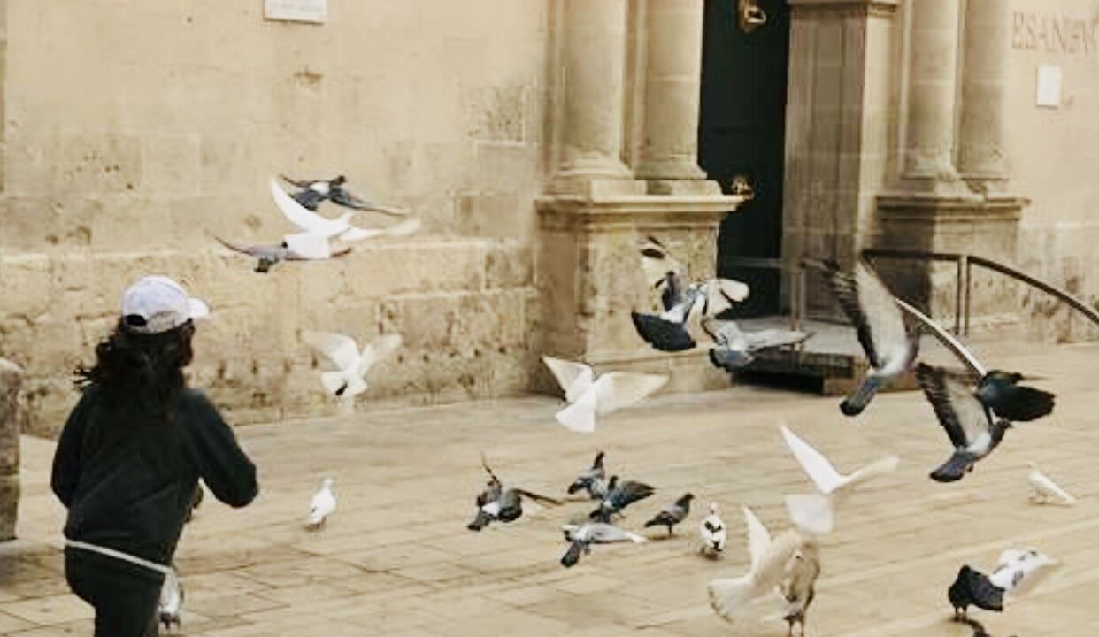 Photo of Others in Barri Vell - Santa Creu