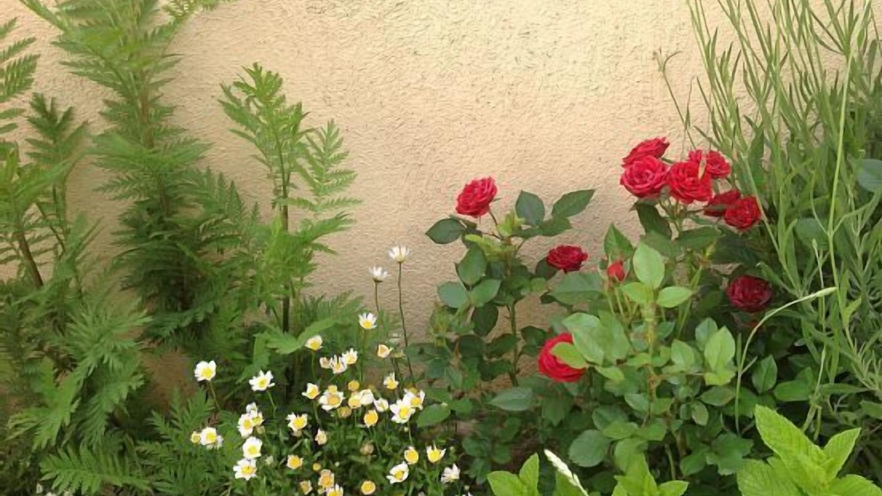 Photo of Outdoor in Miranda de Arga