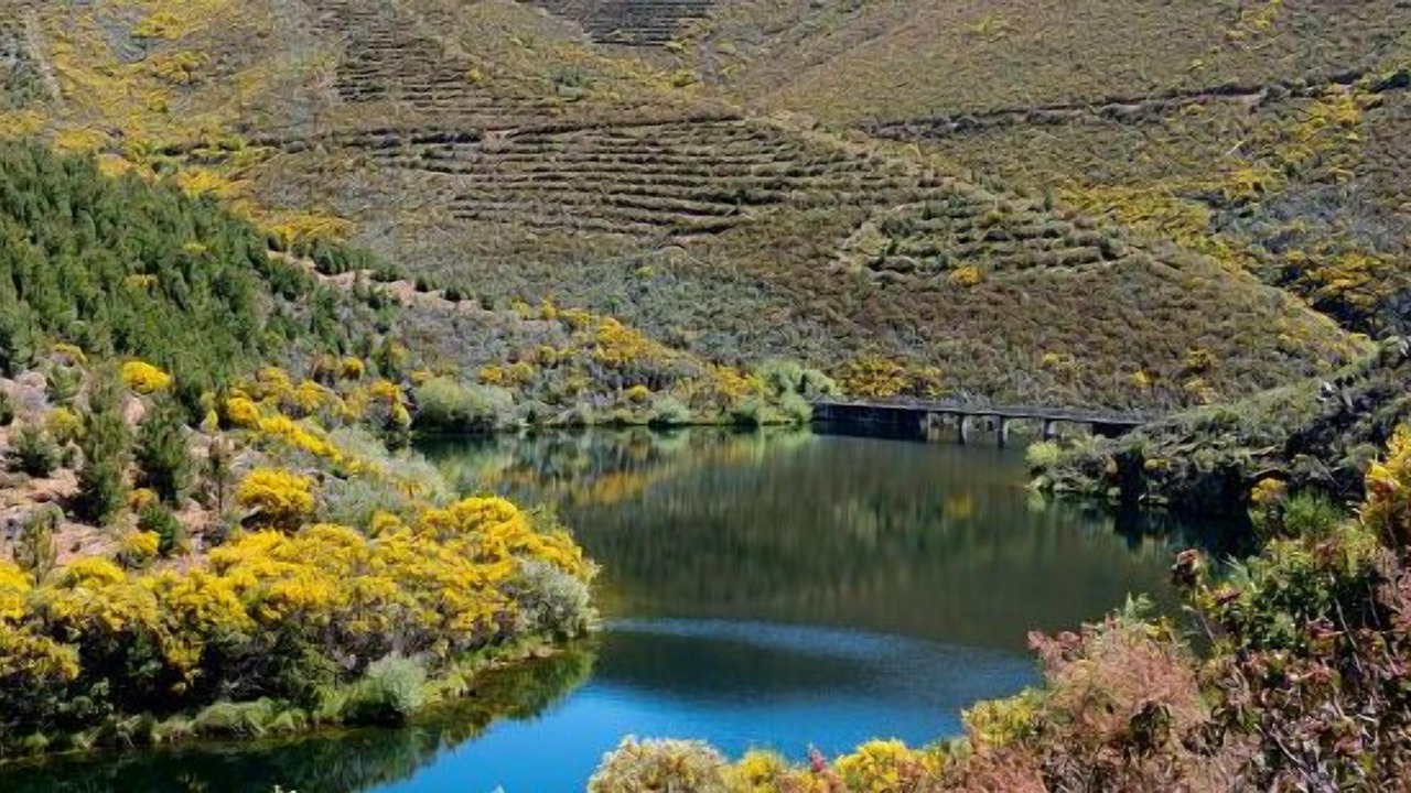 Photo of Outdoor in Pinofranqueado