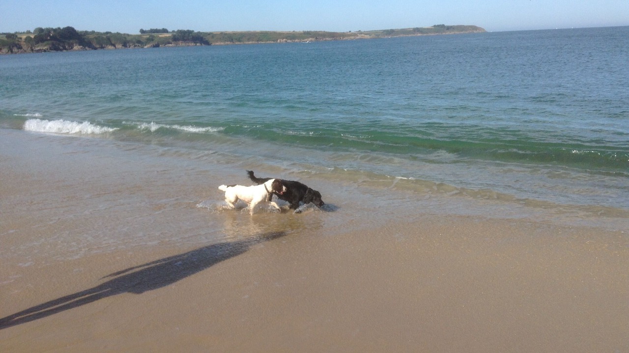 Photo of Others in Savigny-le-Vieux