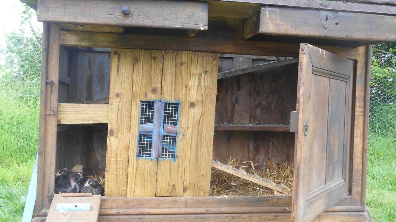 Photo of Outdoor in Saint-Philbert-des-Champs