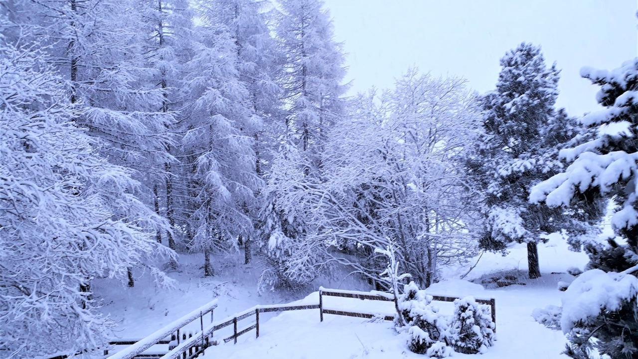 Photo of Outdoor in Pyrenees 2000