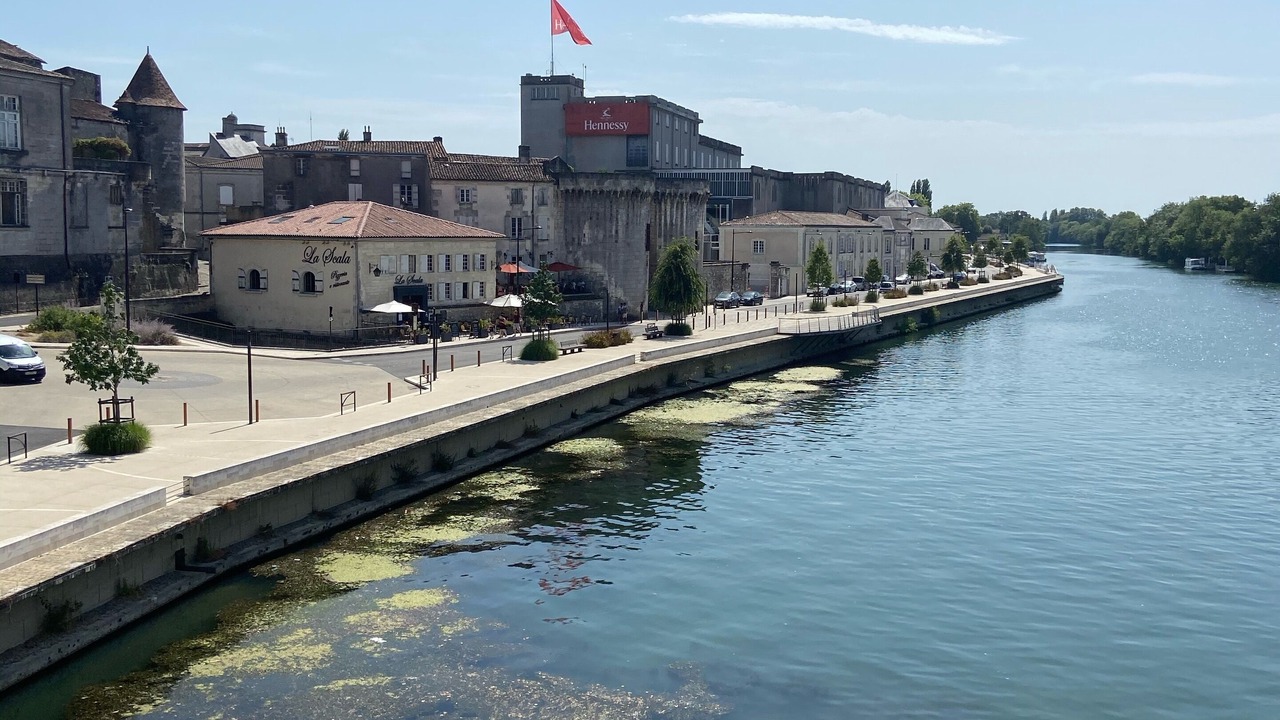 Photo of Others in Lozay