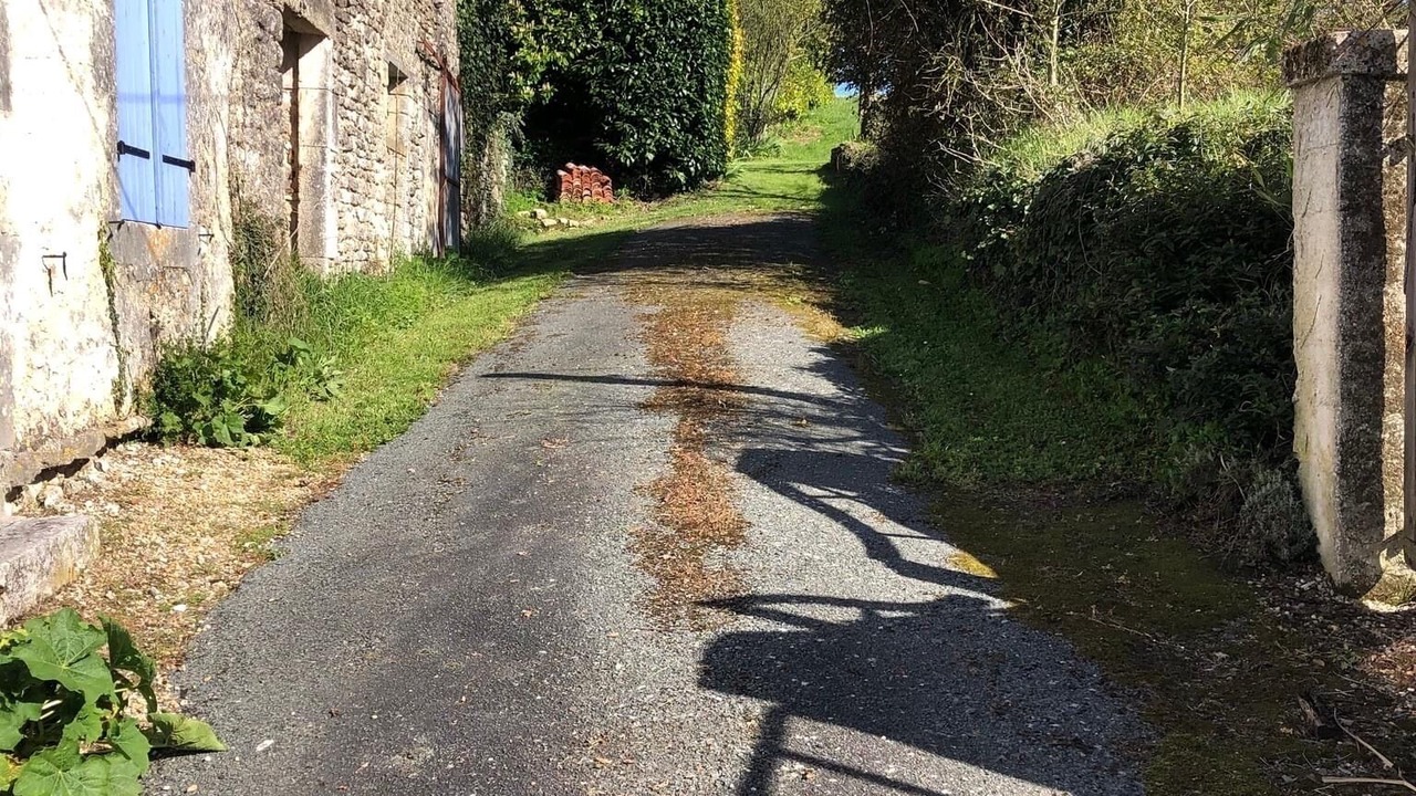 Photo of Outdoor in Lozay