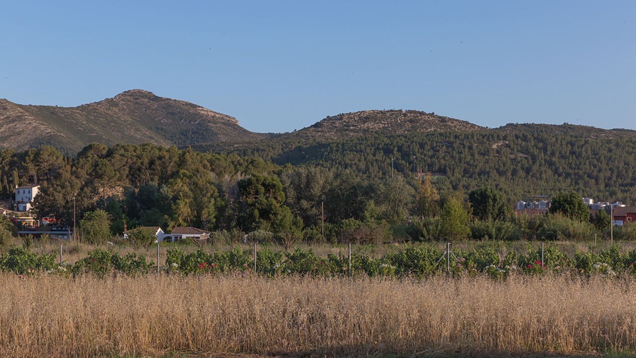 Photo of Outdoor in Jalon