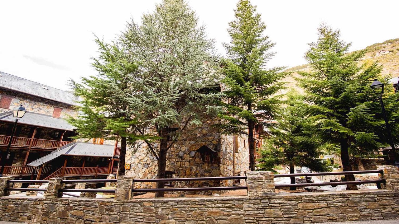 Photo of Outdoor in El Tarter