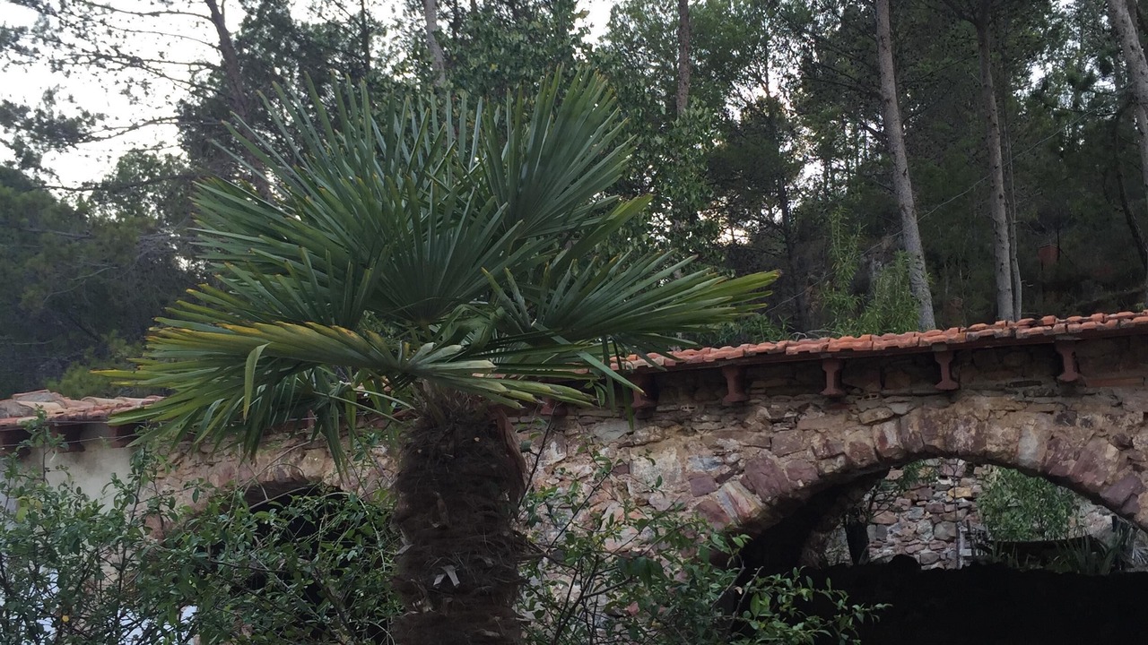Photo of Outdoor in Eslida