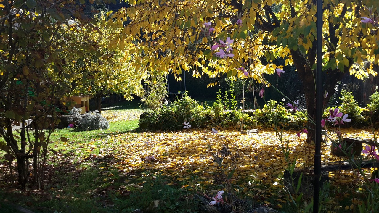 Photo of Outdoor in Vernou-sur-Brenne