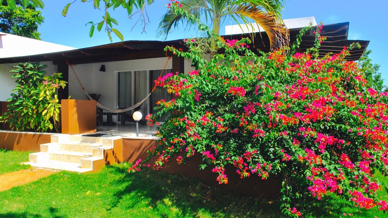 Photo of Outdoor in Las Galeras