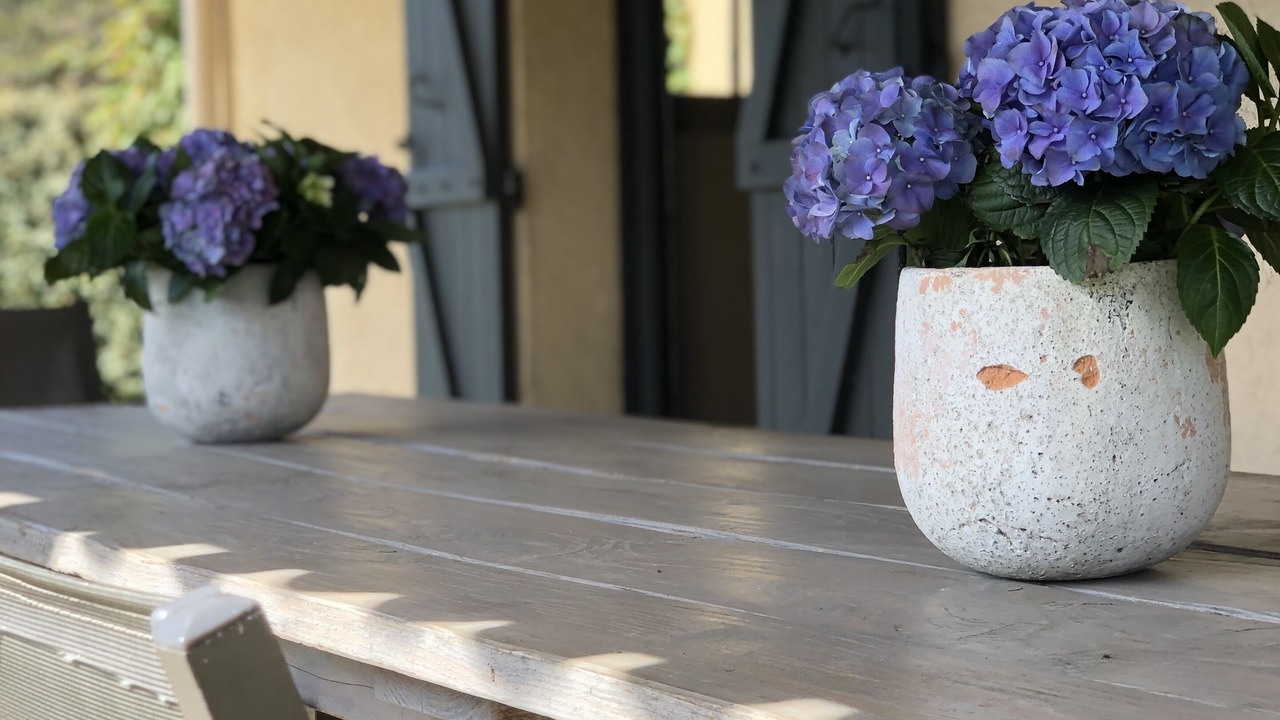 Photo of Outdoor in Sainte-Alvere