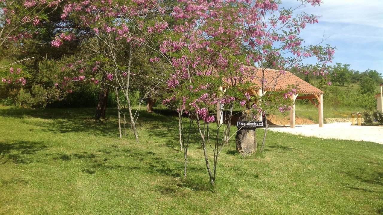 Photo of Outdoor in Sainte-Alvere