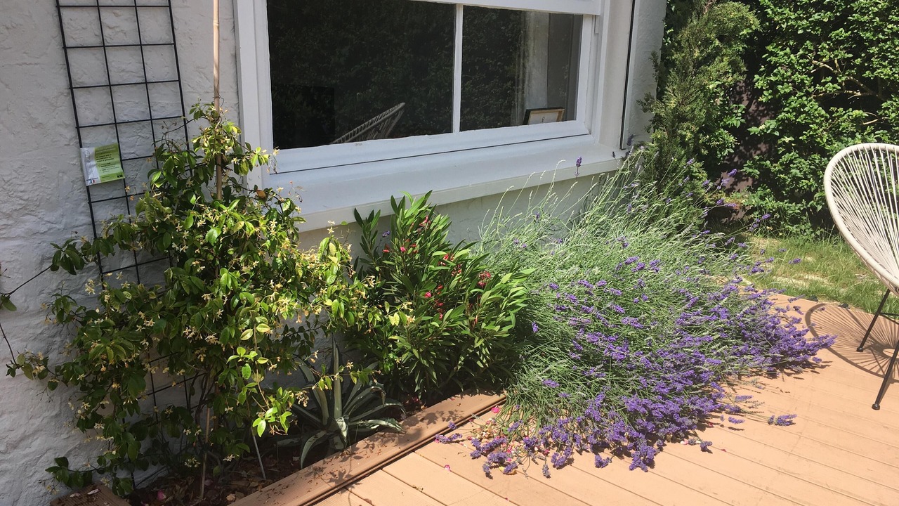 Photo of Patio Balcony in Cabourg