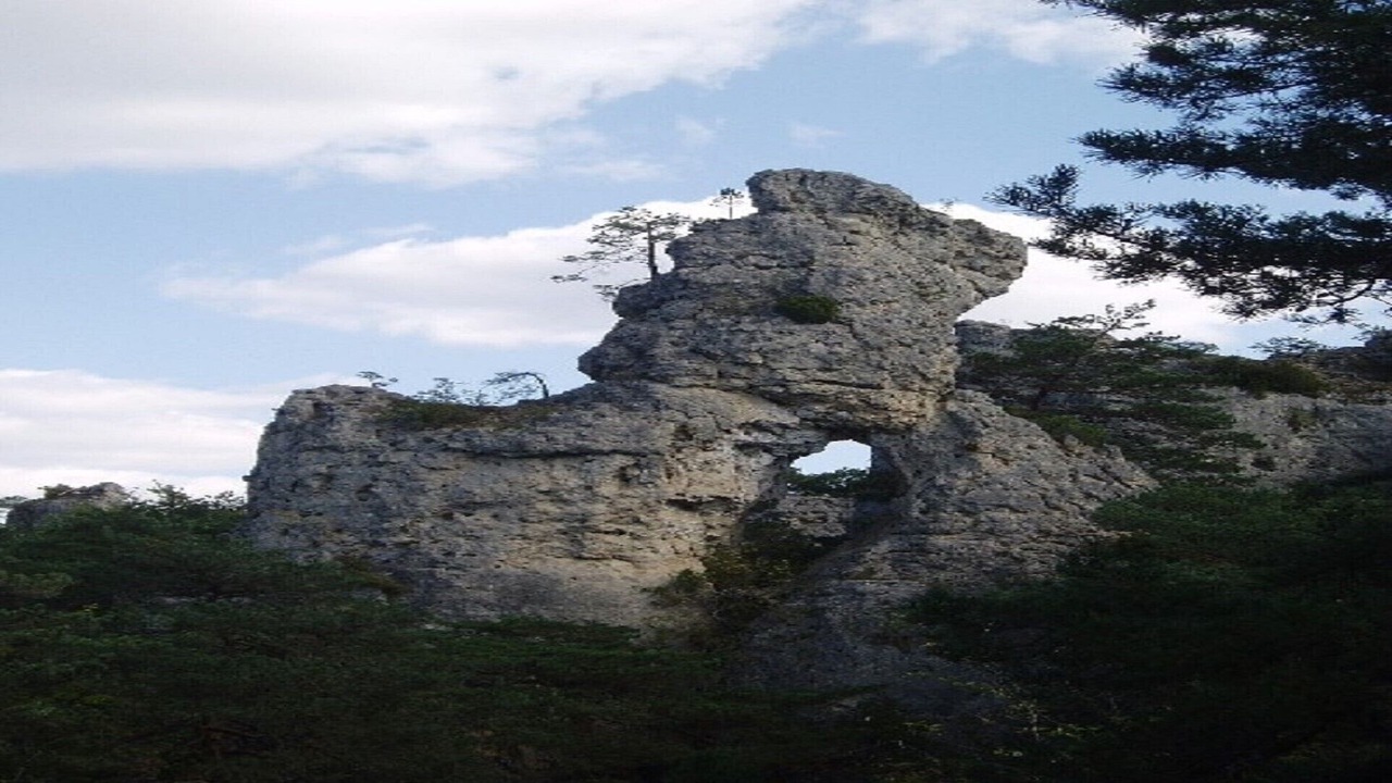 Photo of Outdoor in Pampelonne